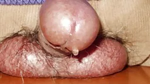 හොඳම සමලිංගික අසභ්‍ය අඩවි 2016
