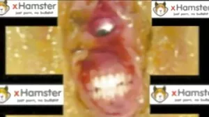 Anime Porr Toons Bobobo