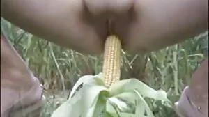 90731